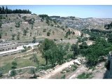 Jerusalem - Valley of Hinnom. Somewhere in this valley was the pagan Tophet sanctuary where child sacrifices occurred in the days of Jeremiah and Josiah.